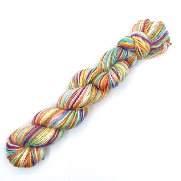 Rainbow 20g mini skein