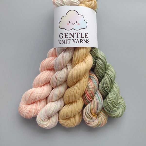 20g x 5 mini pack of pastel peach and greens called Spring Garden 4 ply
