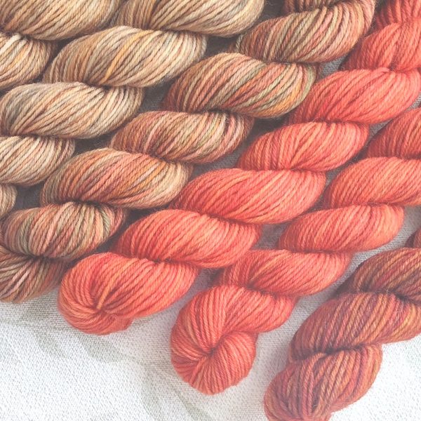 hand dyed 6 x 20g 4 Ply mini skeins in shades of brown, beige and red/orange called Reds and Browns.